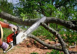 Best Lawn Mowing  in Ball Ground, GA