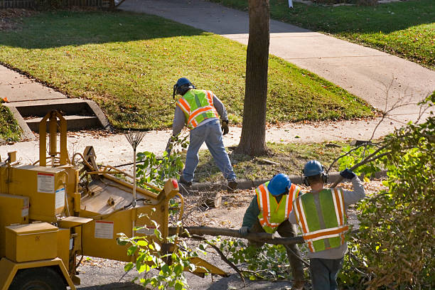 Best Lawn Pest Prevention  in Ball Ground, GA